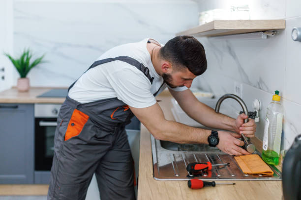 Best Residential Plumbing Services  in Albion, IL