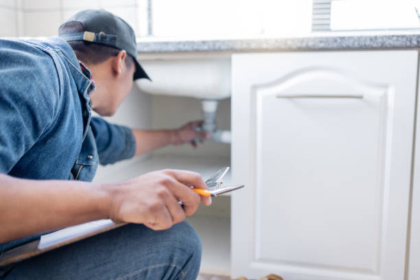 Best Commercial Plumbing Services  in Albion, IL