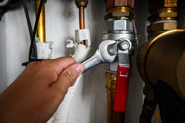 Best Hot Water Heater Installation  in Albion, IL